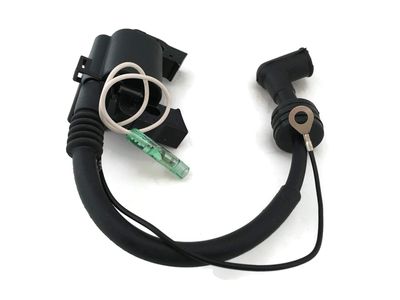 Boat Motor F6-04000400 Ignition Coil w/CDI Assy for Parsun Makara Outboard F6HP F6C F6A 4 stroke Engine