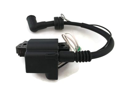 Boat Motor 6BV-85571 6BV-85570 Ignition Coil Assy with CDI for Yamaha Outboard F4HP F4C 4 stroke Engine