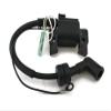 Boat Motor 6BX-85571 6BX-85570 Ignition Coil Assy with CDI for Yamaha Outboard F6HP F6C 4 stroke Engine view 1