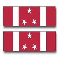 Army Military Police Corps License Plate