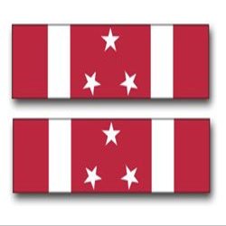 Army Military Police Corps License Plate