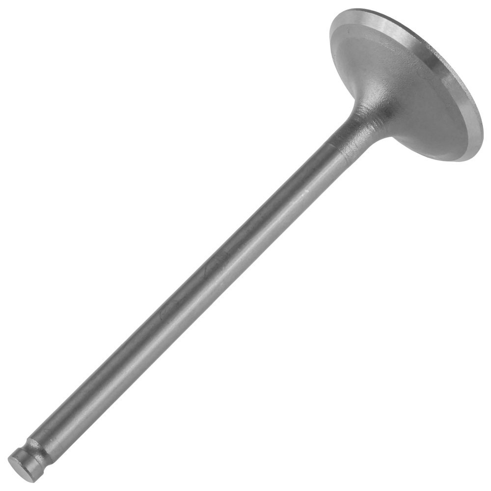 Caltric Intake Valve Compatible with Honda Trx250Te Recon 250 2X4 Es 2002-2026