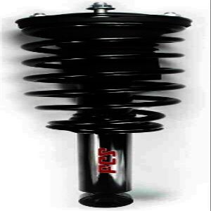 FCS Complete Strut Assembly