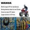 WANDA Set 4 Sport ATV Tires 21x7-10 & 22x11-10 05-06 Polaris Predator 500 view 2