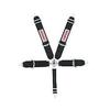 SIMPSON SAFETY Black Camlock 5 Point Harness P/N 29102BK view 1