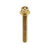 uxcell 6pcs Gold Tone M6 X 40mm Motorcycle Scooter Titanium Alloy Hexagon Bolts Screws view 3
