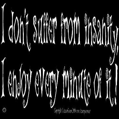 AzureGreen I Don't Suffer From Insanity, I Enjoy Every Minute Of It - Magnetic Bumper Sticker/Decal Magnet (11.5" X 3")