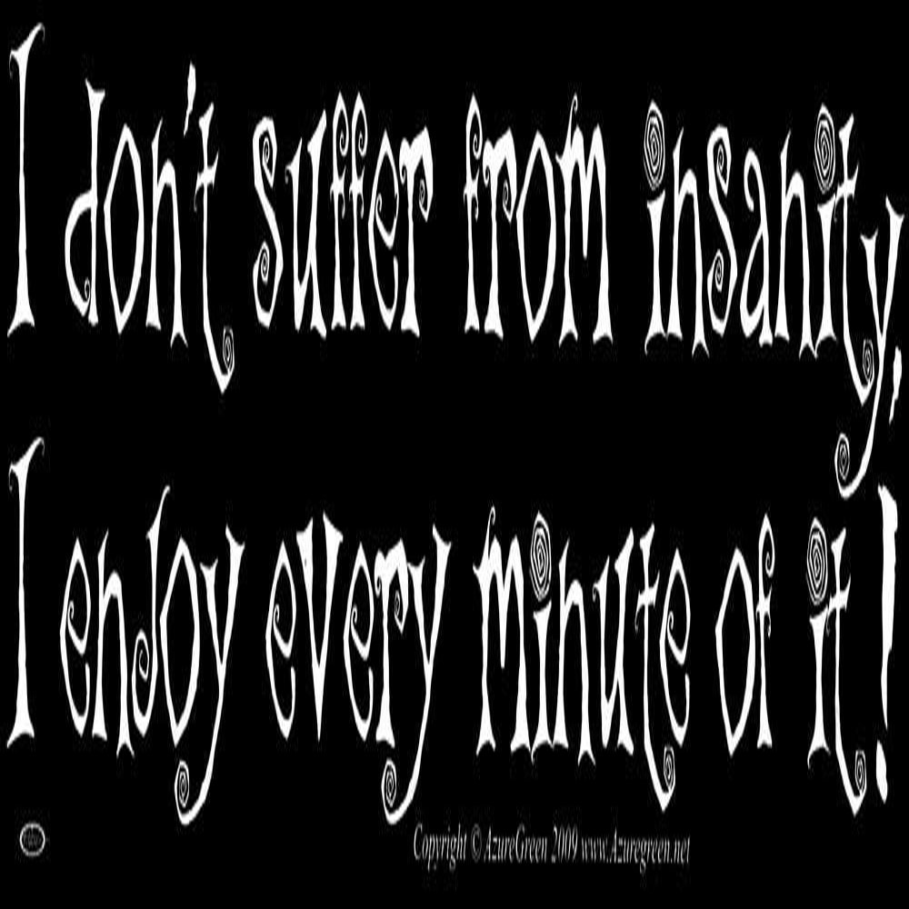 AzureGreen I Don't Suffer From Insanity, I Enjoy Every Minute Of It - Magnetic Bumper Sticker/Decal Magnet (11.5" X 3")