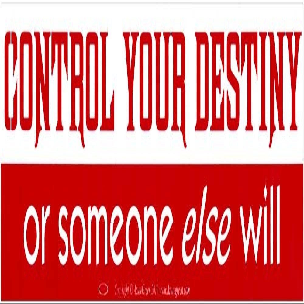 AzureGreen Control Your Destiny Or Someone Else Will - Magnetic Bumper Sticker/Decal Magnet (11.5" X 3")