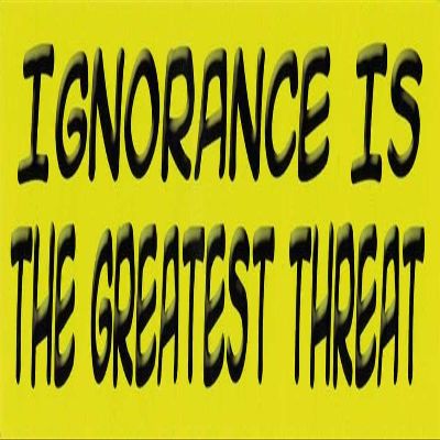 Infamous Network Ignorance Is The Greatest Threat - Small Magnetic Bumper Sticker/Decal Magnet (5.5" X 1.5")