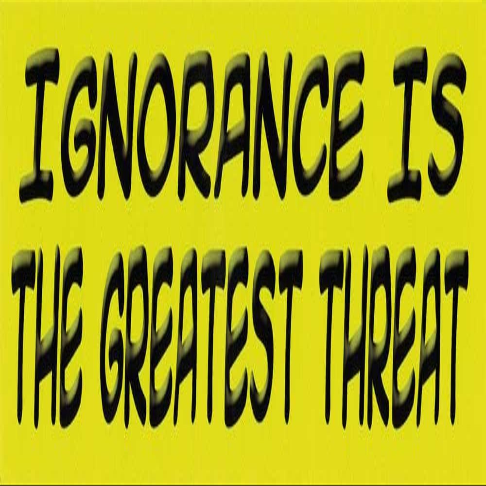 Infamous Network Ignorance Is The Greatest Threat - Small Magnetic Bumper Sticker/Decal Magnet (5.5" X 1.5")