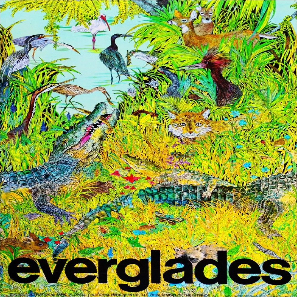 Magnet The Everglades Florida Vintage United States Travel Advertisement Art Magnet
