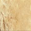 ShearComfort Front Seats Custom Sheepskin Seat Covers Compatible with Oldsmobile Alero (1999-2006) in Tan for Buckets w/Adjustable Headrests view 3