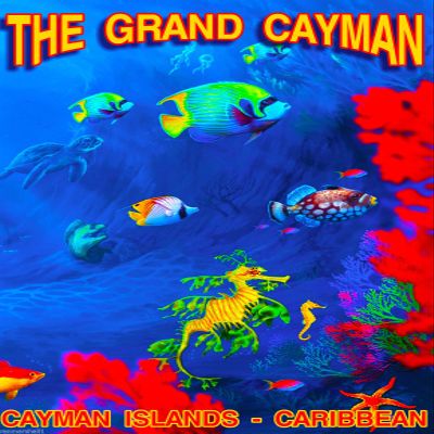 Magnet The Grand Cayman Islands Caribbean Island Reef Travel Advertisement Art Magnet