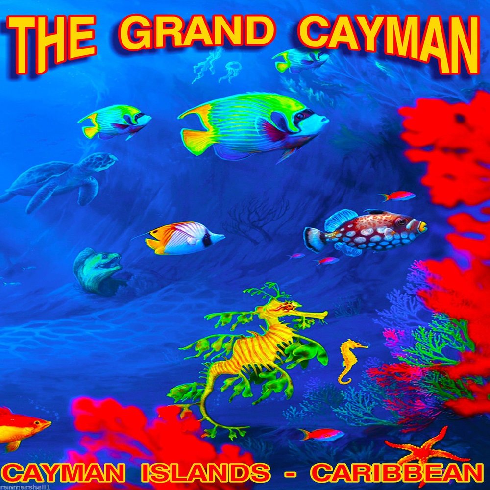 Magnet The Grand Cayman Islands Caribbean Island Reef Travel Advertisement Art Magnet