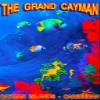 Magnet The Grand Cayman Islands Caribbean Island Reef Travel Advertisement Art Magnet view 1