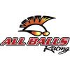 All Balls Seal [22X42X6] (30-4202) view 1