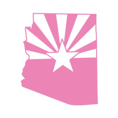 Applicable Pun Arizona State Flag Cut from Silhouette - Vinyl Decal for Outdoor Use on Cars, ATV, Boats, Windows and More - Light Pink 4 inch