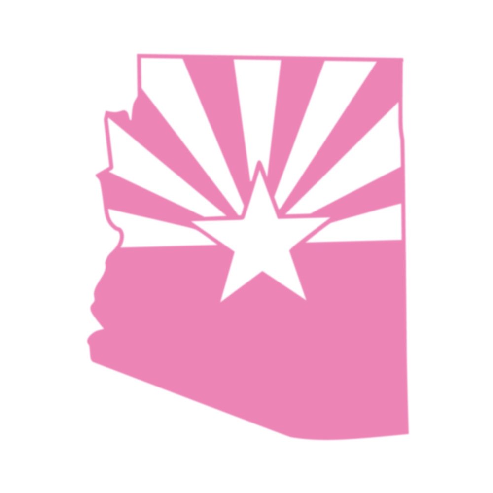 Applicable Pun Arizona State Flag Cut from Silhouette - Vinyl Decal for Outdoor Use on Cars, ATV, Boats, Windows and More - Light Pink 4 inch