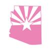 Applicable Pun Arizona State Flag Cut from Silhouette - Vinyl Decal for Outdoor Use on Cars, ATV, Boats, Windows and More - Light Pink 4 inch view 1