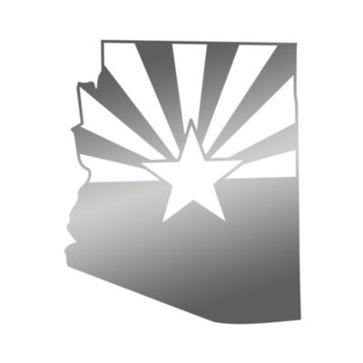 Applicable Pun Arizona State Flag Cut from Silhouette - Vinyl Decal for Outdoor Use on Cars, ATV, Boats, Windows and More - Silver 5 inch