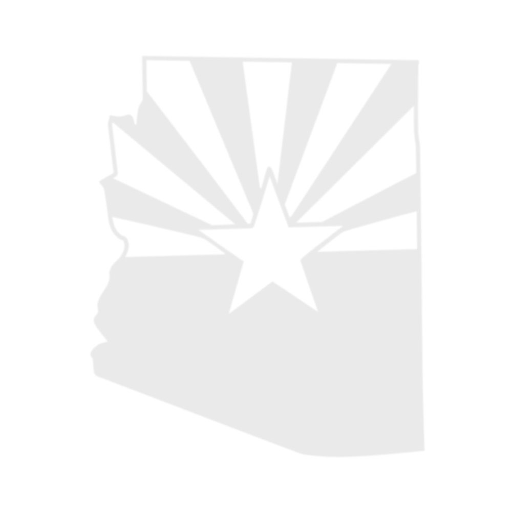 Applicable Pun Arizona State Flag Cut from Silhouette - Vinyl Decal for Outdoor Use on Cars, ATV, Boats, Windows and More - White 4 inch