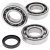 All Balls Racing Crank Bearing and Seal Kit 24-1090 For Polaris Scrambler 500 4x4 1998 1999 2004 2005 2006 2007 2008 2009 2010 2011 2012, Sportsman 400 4x4 AQ-AV 2004,Sportsman 500 4x4 EFI 2009 view 1