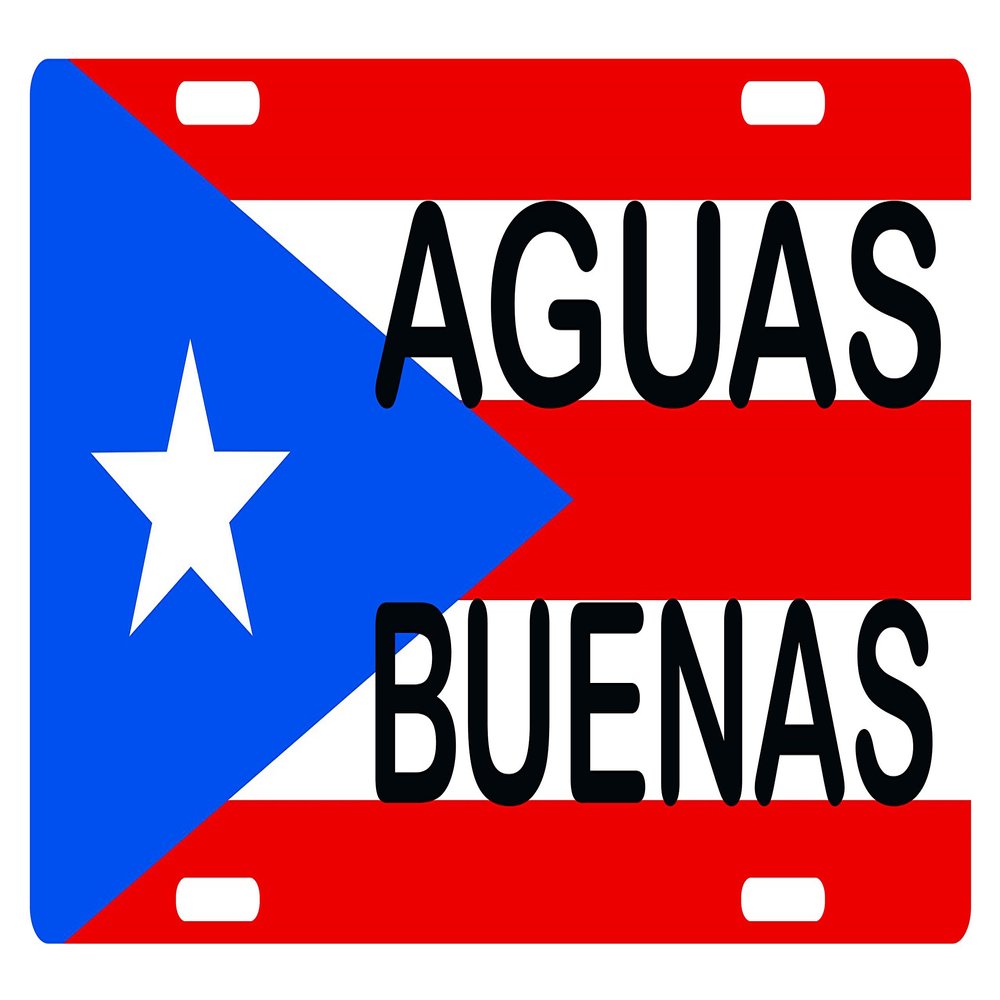 Fast Service Designs Puerto Rico Flag AGUAS BUENAS License Plate PR Boricua Isla Del Encanto Emblem