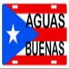 Fast Service Designs Puerto Rico Flag AGUAS BUENAS License Plate PR Boricua Isla Del Encanto Emblem view 1