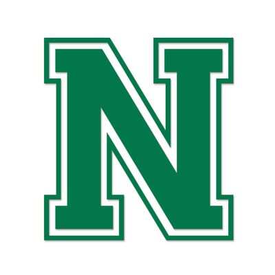 Applicable Pun Varsity Letter N - Vinyl Decal for Outdoor Use on Cars, ATV, Boats, Windows and More - Green 3 Inches Tall