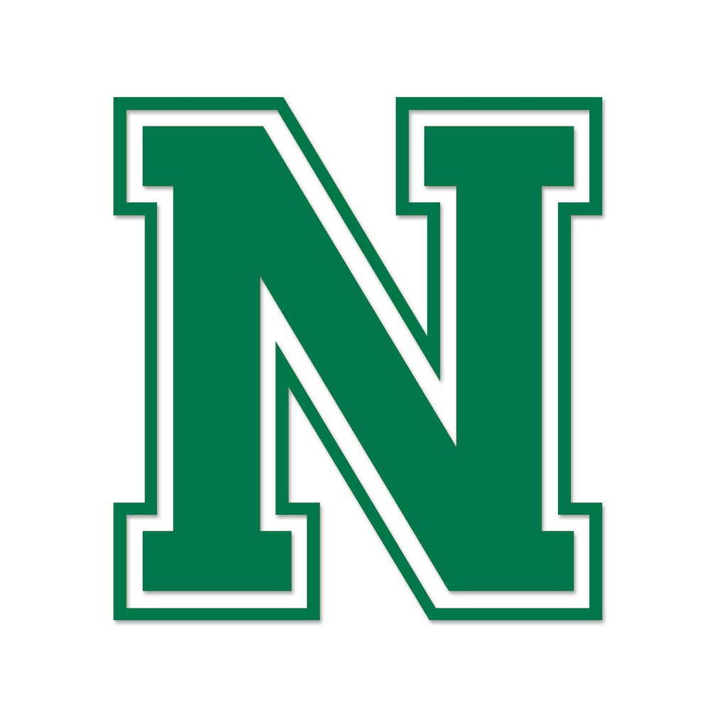 Applicable Pun Varsity Letter N - Vinyl Decal for Outdoor Use on Cars, ATV, Boats, Windows and More - Green 3 Inches Tall