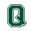 Applicable Pun Varsity Letter Q - Vinyl Decal for Outdoor Use on Cars, ATV, Boats, Windows and More - Forest Green 9 Inches Tall view 1