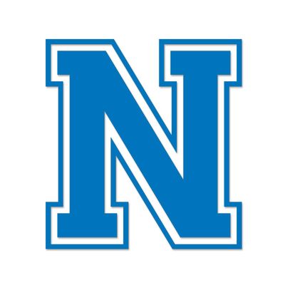 Applicable Pun Varsity Letter N - Vinyl Decal for Outdoor Use on Cars, ATV, Boats, Windows and More - Sky Blue 4 Inches Tall