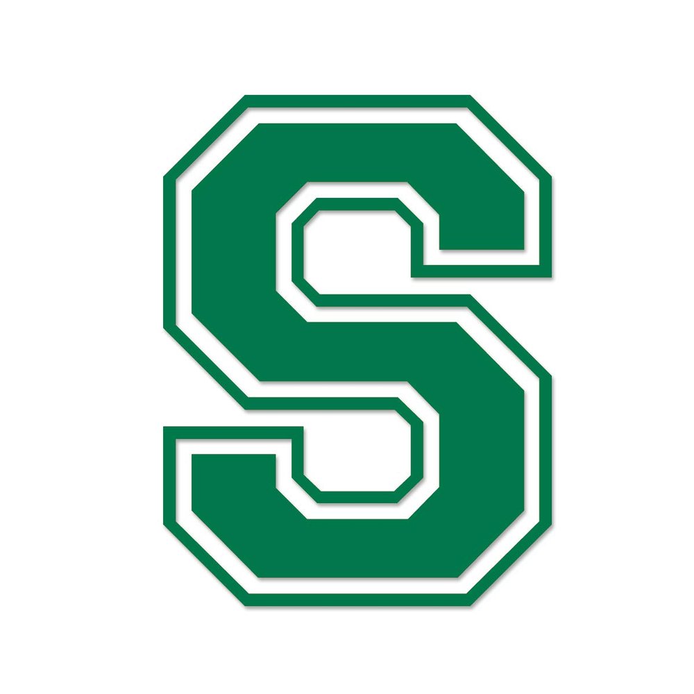 Applicable Pun Varsity Letter S - Vinyl Decal for Outdoor Use on Cars, ATV, Boats, Windows and More - Green 3 Inches Tall