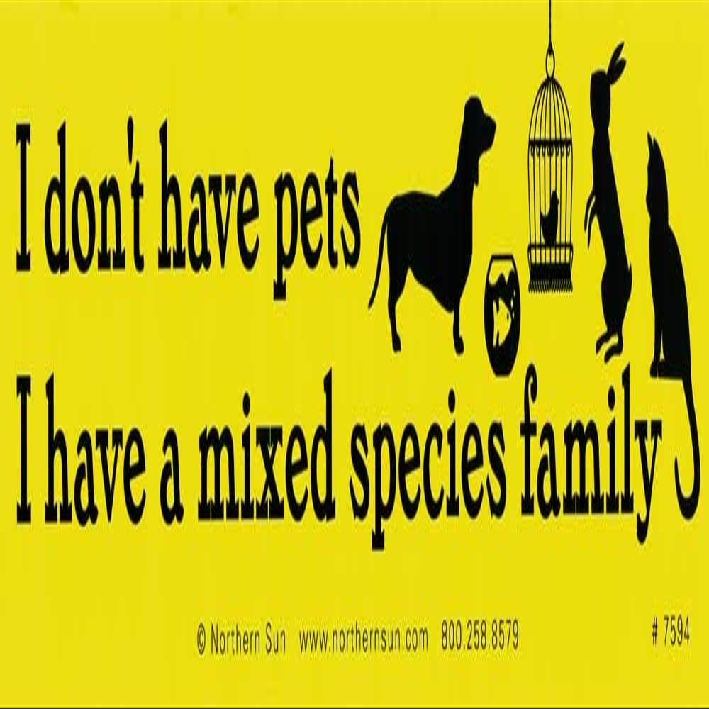 Northern Sun I Don't Have Pets, I Have A Mixed Species Family - Magnetic Bumper Sticker/Decal Magnet (11" X 3")