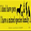 Northern Sun I Don't Have Pets, I Have A Mixed Species Family - Magnetic Bumper Sticker/Decal Magnet (11" X 3") view 1