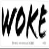 Northern Sun Woke - Small Magnetic Bumper Sticker/Decal Magnet (5" X 1.5") view 1