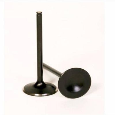 Bronco AU-09195I Intake Valve