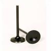 Bronco AU-09195I Intake Valve view 1
