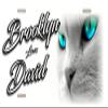 Personalized License Plate - House Cat Bright Eyes Couple or Single Name Design view 1