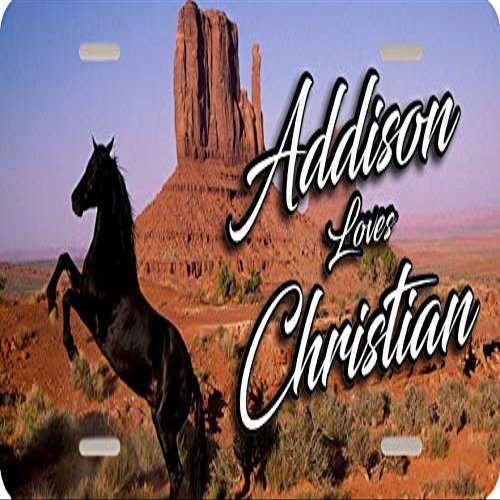 Personalized License Plate - Horse in Desert Couple or Single Name Design