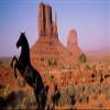 Personalized License Plate - Horse in Desert Couple or Single Name Design view 2