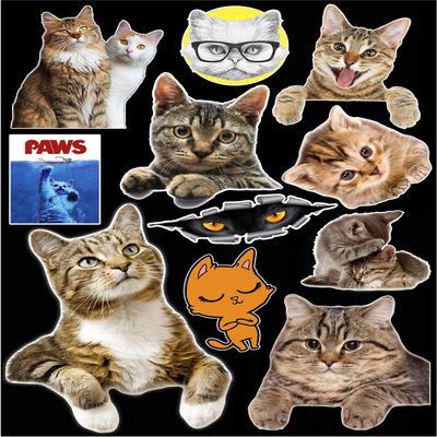 12" x 9" Cats & Kitties Contour Cut Vinyl Sticker Bundle