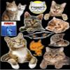 12" x 9" Cats & Kitties Contour Cut Vinyl Sticker Bundle view 1