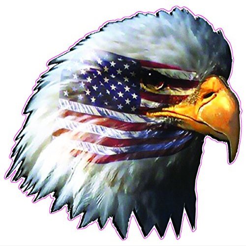 American Flag Eagle Head Decal is 6"