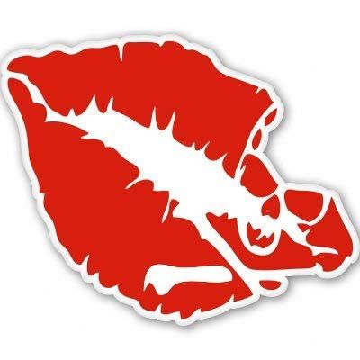 Carframes18 Skull Crossbones Red Lips Vinyl Sticker Bumper Sticker Decal
