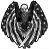 Bald Eagle American Flag Eagle Wings Black & White Decal from The United States (12" x 12") view 1
