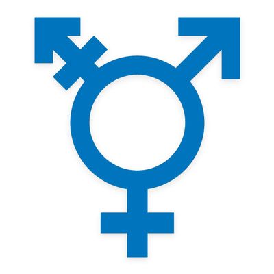 Applicable Pun Transgender Symbol- Vinyl Decal Sticker - Sky Blue 8 inch