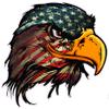 American Flag Eagle Head V3 Decal comes in 5 sizes (10" x 10") view 1