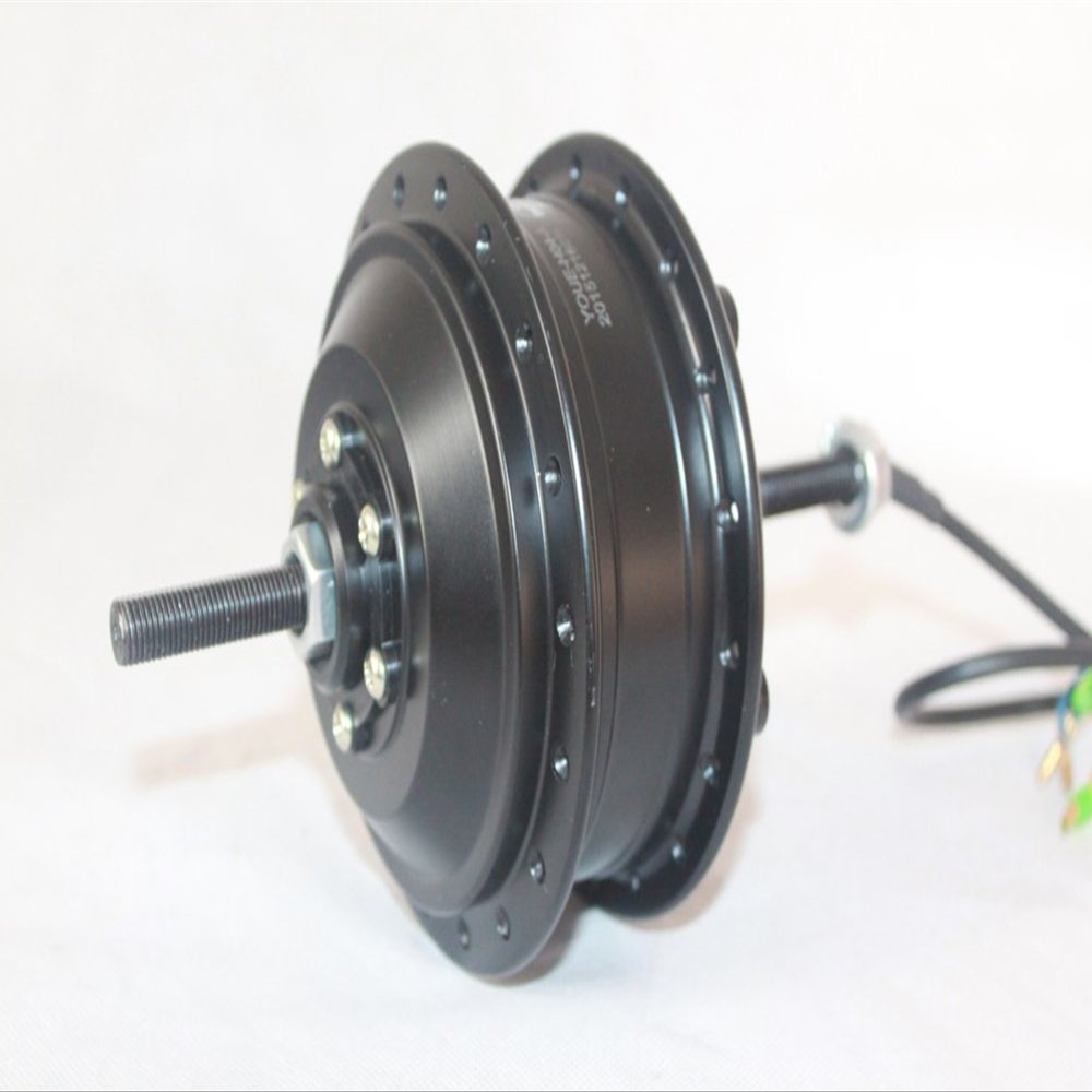24V 36V 48V 250W Bike Rear Wheel Hub Motor Bicycle Brushless Hub Spokes Motor Hub Motor with Flywheel(48V250W)